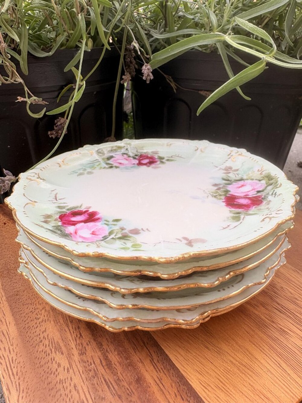 Antique R.C. Claire Bavaria Plates Set | Pink Rose Floral German Porcelain